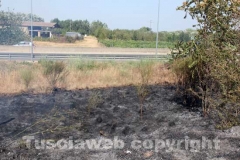 L\'incendio tra strada Bagni e la Superstrada