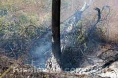 L\'incendio tra strada Bagni e la Superstrada