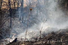 L\'incendio tra strada Bagni e la Superstrada