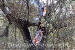 L\'incendio tra strada Bagni e la Superstrada