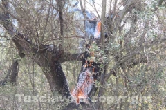 L\'incendio tra strada Bagni e la Superstrada