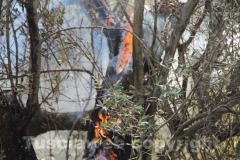 L\'incendio tra strada Bagni e la Superstrada