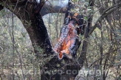 L\'incendio tra strada Bagni e la Superstrada