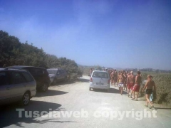 L\'incendio a Pescia Romana vicino alla spiaggia