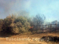 L\'incendio a Pescia Romana vicino alla spiaggia