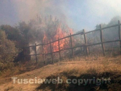 L\'incendio a Pescia Romana vicino alla spiaggia