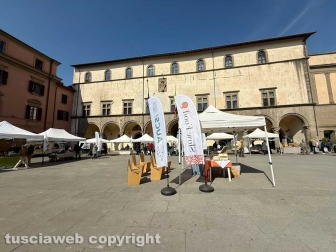 Viterbo - Fiera dell'Annunziata 2026