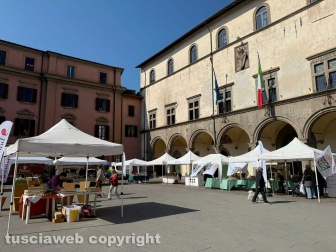 Viterbo - Fiera dell'Annunziata 2026