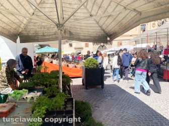 Viterbo - Fiera dell'Annunziata