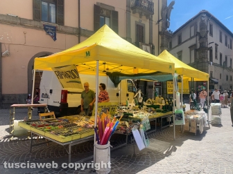 Viterbo - Fiera di Santa Rosa 2023