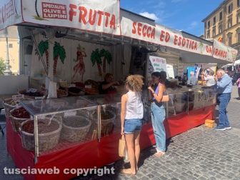 Viterbo - Fiera di Santa Rosa 2023