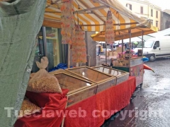 Fiera di santa Rosa sotto la pioggia
