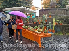 Fiera di santa Rosa sotto la pioggia