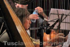 Caffeina - Sedicesima giornata - The white orchestra