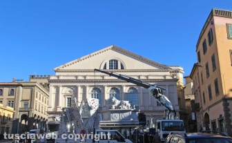 Fiore del cielo a piazza del Teatro