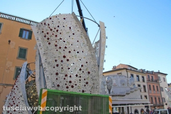 Fiore del cielo a piazza del Teatro