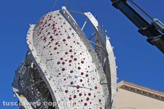 Fiore del cielo a piazza del Teatro