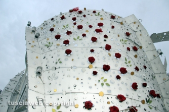 Fiore del cielo è tornata a casa