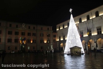 L'albero a piazza del Comune