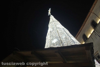 L'albero a piazza del Comune