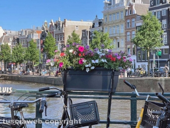 Amsterdam - La barbara tradizione olandese di mettere fiori nelle linde fioriere