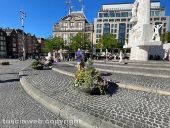Amsterdam - La barbara tradizione olandese di mettere fiori nelle linde fioriere