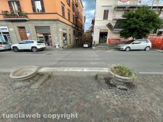Viterbo - Piazza della Rocca - La civilissima tradizione di far crescere erbacce nelle sporche fioriere cittadine