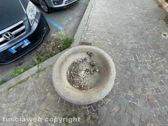Viterbo - La civilissima tradizione delle fioriere con un po' di terriccio e immondizie varie