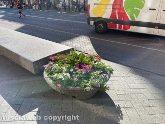 Amsterdam - La barbara tradizione olandese di mettere fiori nelle linde fioriere