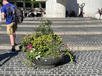 Amsterdam - La barbara tradizione olandese di mettere fiori nelle linde fioriere