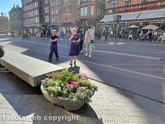 Amsterdam - La barba tradizione olandese di mettere fiori nelle linde fioriere