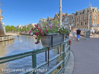 Amsterdam - La barbara tradizione olandese di mettere fiori nelle linde fioriere