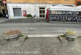 Viterbo - Piazza della Rocca - La civilissima tradizione di far crescere erbacce nelle sporche fioriere cittadine