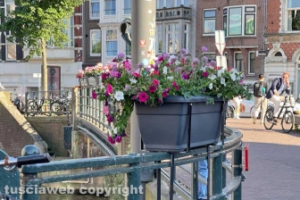Amsterdam - La barbara tradizione olandese di mettere fiori nelle linde fioriere