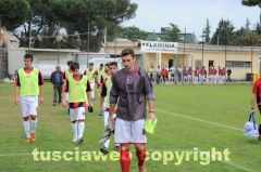 Flaminia Civita Castellana - Pianese: 1-1
