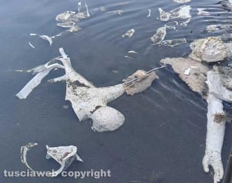 Civita Castellana – Distrutta la Fontana delle acque vergini di Alessio Paternesi