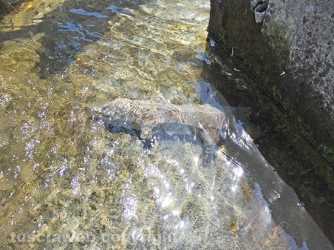 Fontana grande deturpata