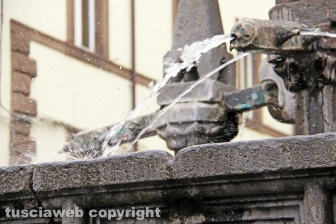 Viterbo - Fontana Grande