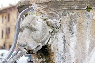 Viterbo - La fontana di San Faustino