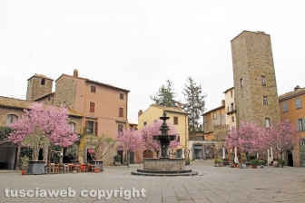 Viterbo - La fontana di piazza del Gesù