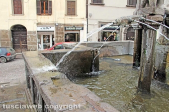 Viterbo - Fontana Grande