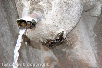 Viterbo - La fontana della Crocetta