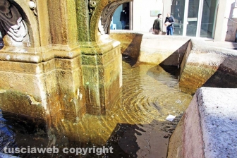 Viterbo - La fontana di piazza delle Erbe