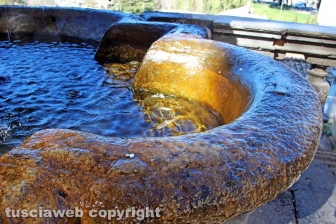 Viterbo - La fontana di piazza del Comune