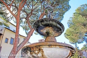 Viterbo - La fontana di piazza del Comune