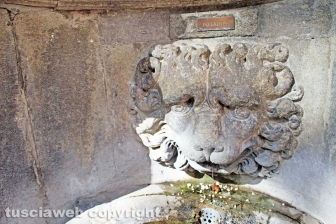 Viterbo - La fontana di piazza del Comune