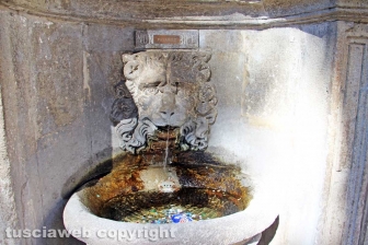 Viterbo - La fontana di piazza del Comune