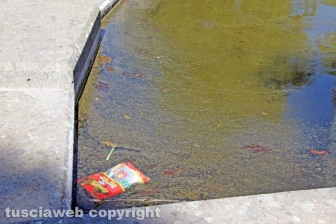 Viterbo - La fontana a sfera