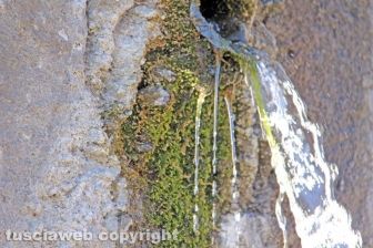 La fontana di Bagnaia