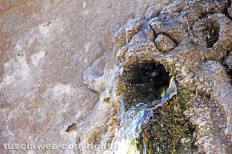 La fontana di Bagnaia